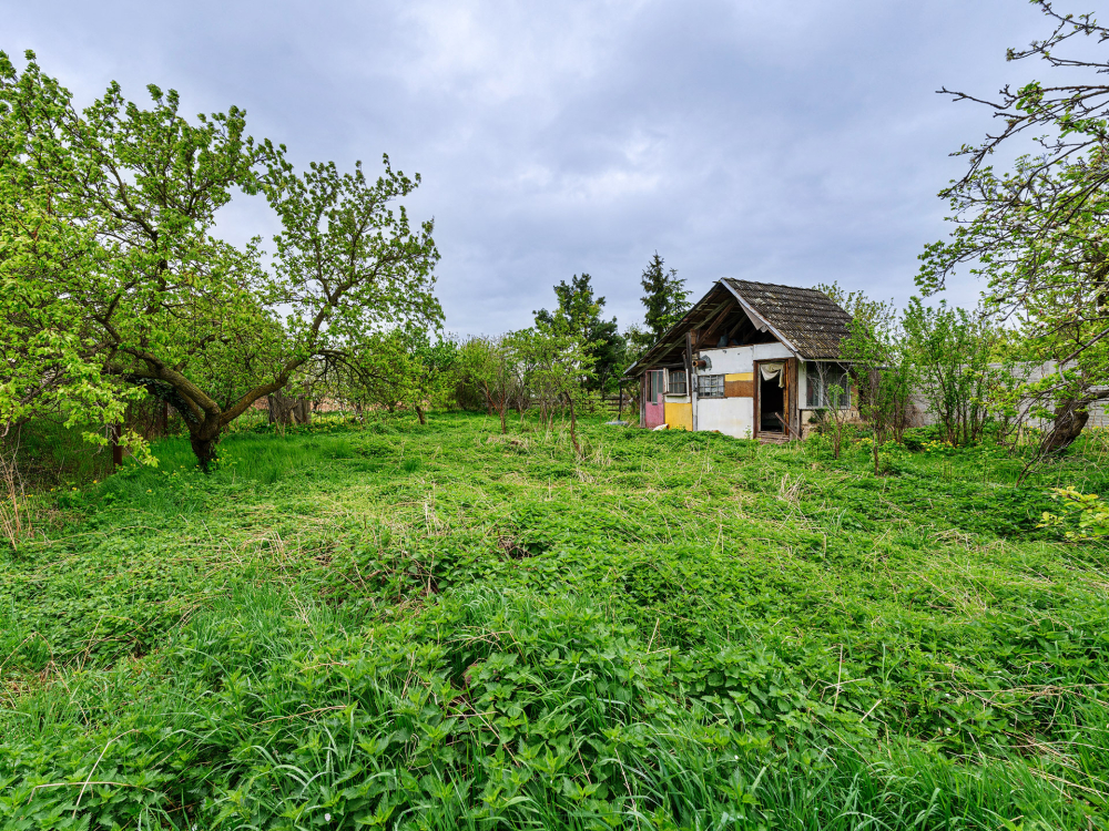Rovinný pozemek - zahrada ve vinařské obci Jevišovka